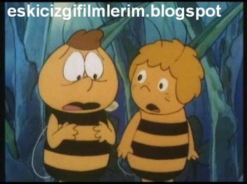 Arı Maya. İlk olarak 1979 yılında TRT'nin yaz ekranında, 90'larda da Show tv'de yayınlandı. Bu da böyle kız mı erkek mi bilinmez bir arıydı.